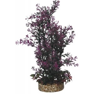 HAQUOSS PHYTOS 23 - 9x9x30h cm